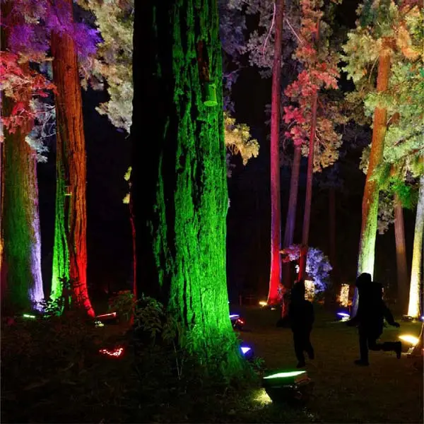 Event Lighting Hire